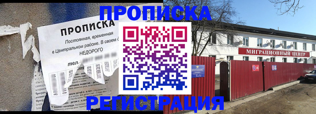 прописка ребенка в Щёкино